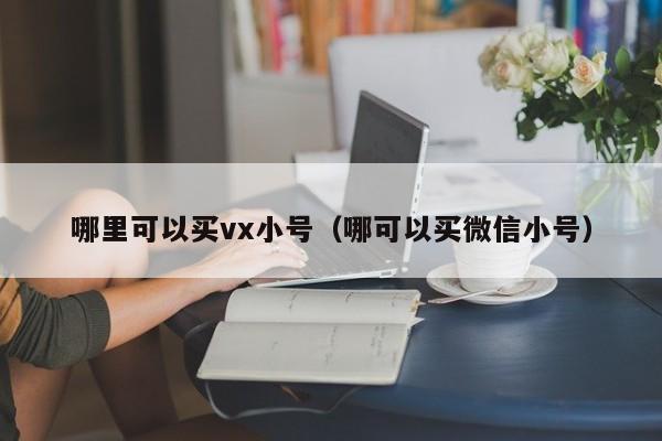 哪里可以买vx小号（哪可以买微信小号）