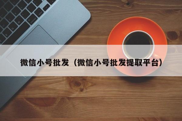 微信小号批发（微信小号批发提取平台）