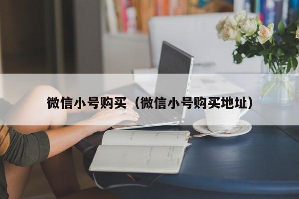 微信小号购买（微信小号购买地址）