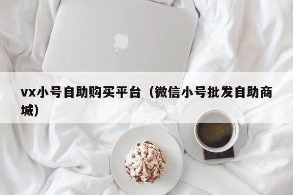 vx小号自助购买平台（微信小号批发自助商城）