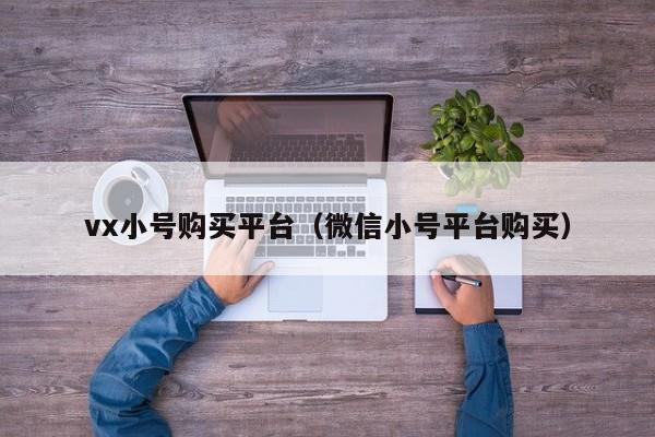vx小号购买平台（微信小号平台购买）
