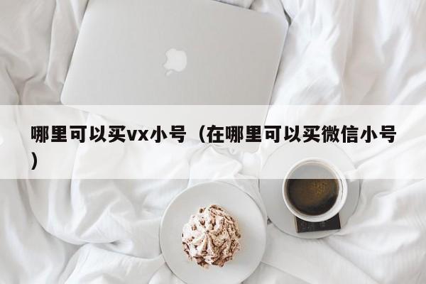 哪里可以买vx小号（在哪里可以买微信小号）