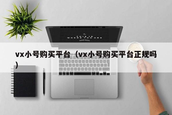 vx小号购买平台（vx小号购买平台正规吗）
