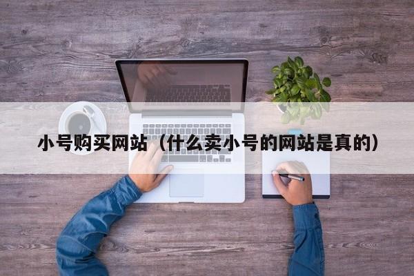小号购买网站（什么卖小号的网站是真的）