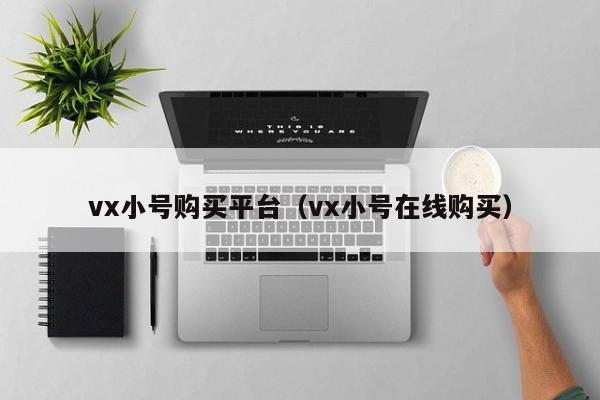 vx小号购买平台（vx小号在线购买）