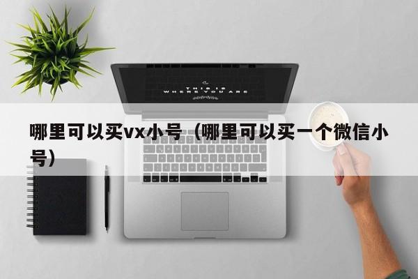 哪里可以买vx小号（哪里可以买一个微信小号）