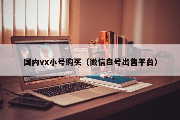 国内vx小号购买（微信白号出售平台）