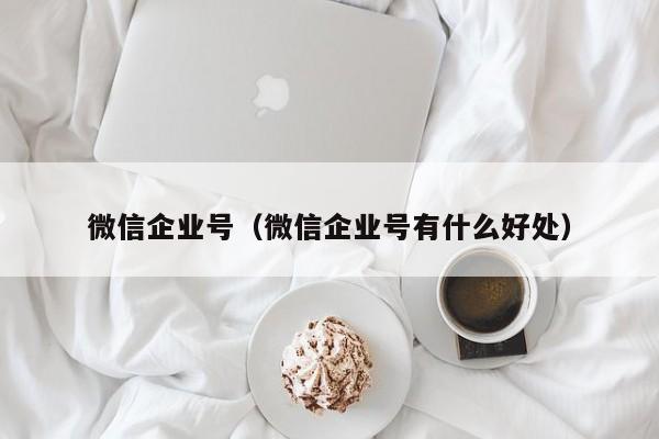 微信企业号（微信企业号有什么好处）